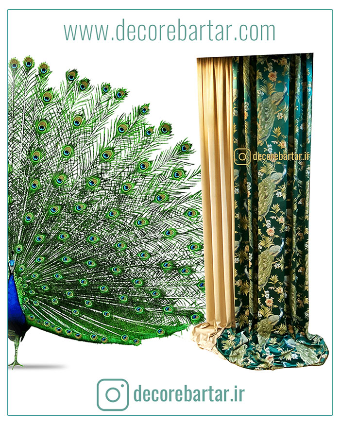 hall and reception curtain